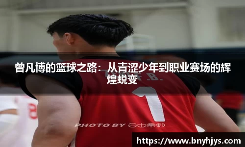 芒果体育官方网站